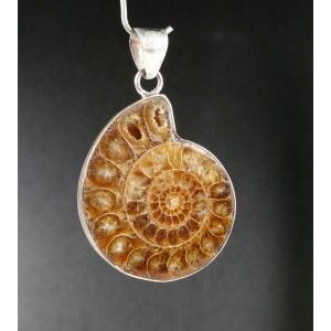 Magadascar Fossil Ammonite Sterling Silver Pendant,unique #mp10 | PENDANT-WORLD.COM | Buy at $45