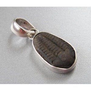 Czech Trilobite Ellipsocephalus Hoffi Fossil Sterling Silver Pendant,unique #mp4 | PENDANT-WORLD.COM | Buy at $49