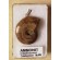 Madagascar Opalized Fossil AMMONITE 925 Silver Bail Pendant (1pc) - Random pick | PENDANT-WORLD.COM | Buy at $17.95
