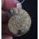 Madagascar Fossil AMMONITE 925 Silver Bail Pendant,unique | PENDANT-WORLD.COM | Buy at $15.95