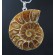 Ammonite (Fossil) drilled pendant with silver bail,unique | PENDANT-WORLD.COM | Buy at $14.95
