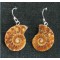 Madagascar Fossil Ammonite Sterling Silver Earings,unique | PENDANT-WORLD.COM | Buy at $15.95