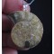 Madagascar Fossil AMMONITE 925 Silver Bail Pendant,unique | PENDANT-WORLD.COM | Buy at $15.95